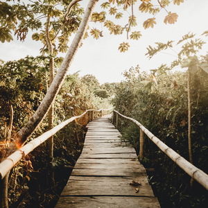 中国熟女裸体俱乐部
