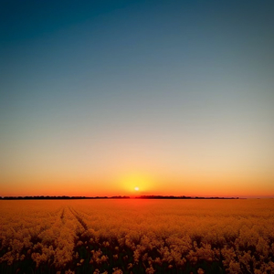 中国熟女裸体俱乐部

